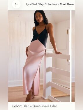 LyreBird Silky Colorblock Maxi Dress NWT